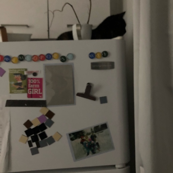 Nice - Picture 2 of 5